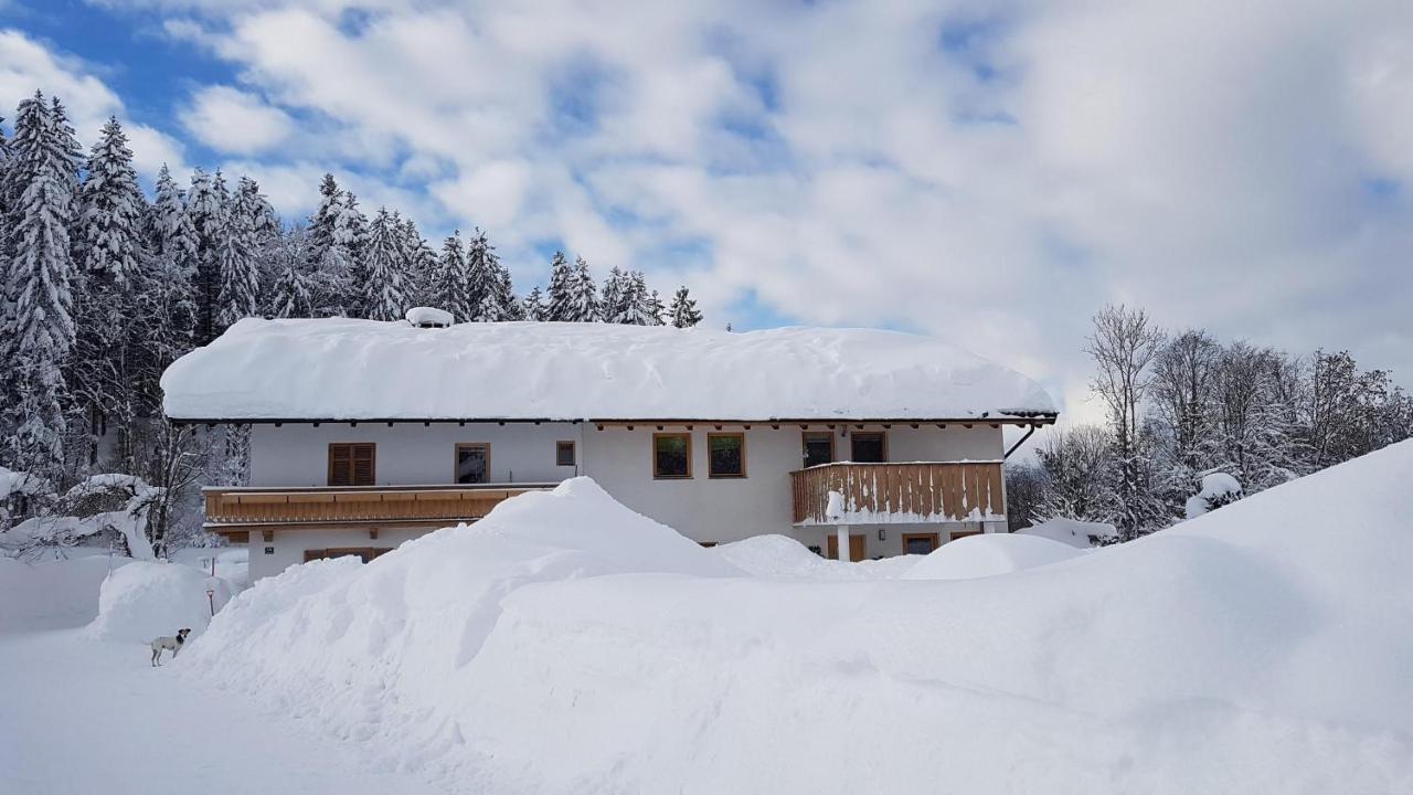 Ferienwohnung Frieda Ellmau Exteriör bild